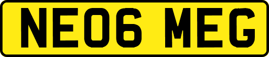 NE06MEG