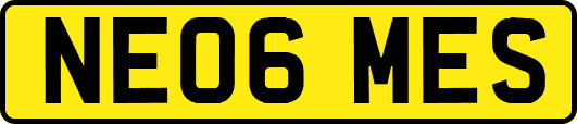 NE06MES