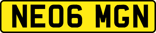 NE06MGN