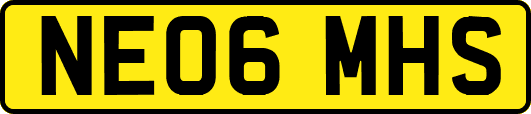 NE06MHS