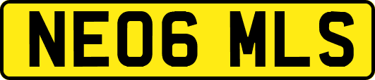 NE06MLS