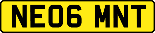 NE06MNT