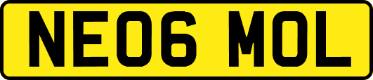 NE06MOL