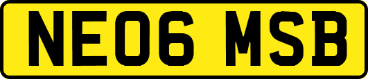 NE06MSB
