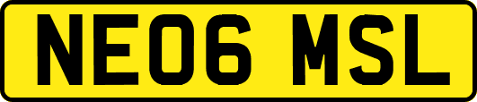 NE06MSL