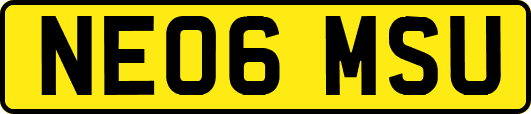 NE06MSU