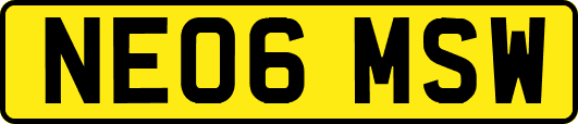 NE06MSW