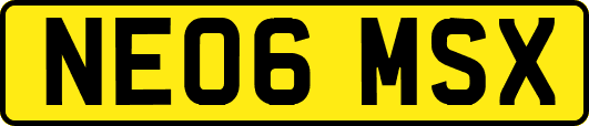 NE06MSX