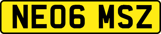NE06MSZ