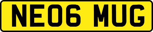 NE06MUG