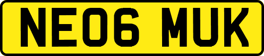 NE06MUK