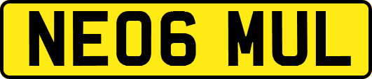 NE06MUL