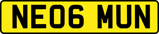 NE06MUN