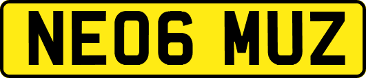NE06MUZ