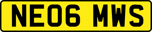 NE06MWS