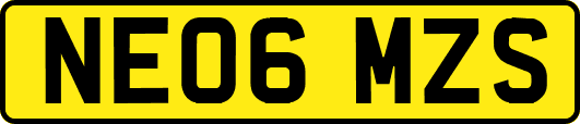 NE06MZS