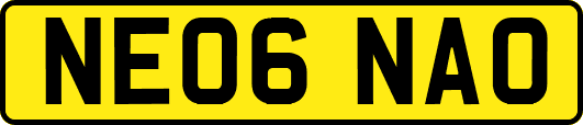 NE06NAO