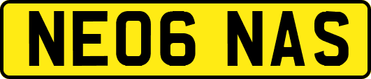 NE06NAS