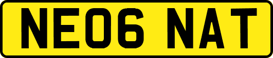 NE06NAT