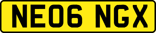 NE06NGX