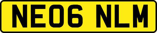 NE06NLM