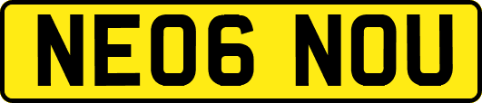 NE06NOU