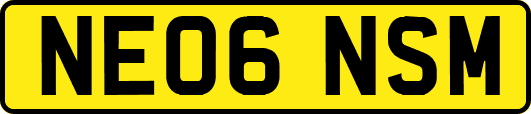 NE06NSM