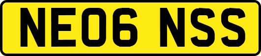 NE06NSS