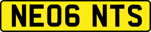 NE06NTS