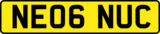 NE06NUC