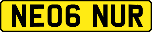 NE06NUR