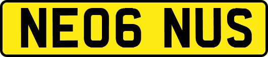 NE06NUS