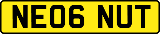 NE06NUT