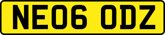 NE06ODZ