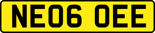 NE06OEE