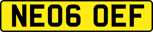NE06OEF