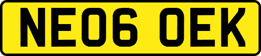 NE06OEK