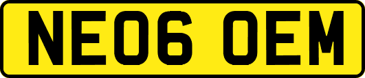 NE06OEM