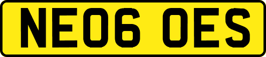 NE06OES