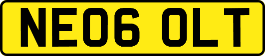 NE06OLT