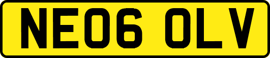 NE06OLV
