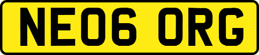 NE06ORG