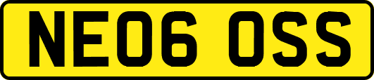 NE06OSS