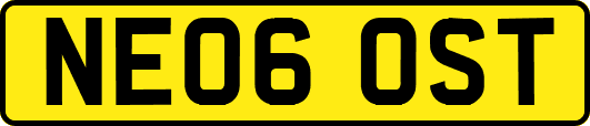 NE06OST