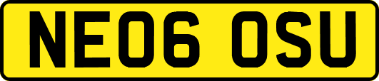 NE06OSU