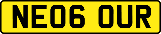 NE06OUR