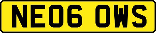 NE06OWS