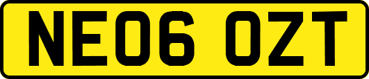 NE06OZT