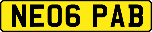 NE06PAB
