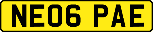 NE06PAE